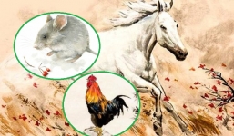 Quý nhân nâng đỡ, 3 con giáp này tha hồ hứng tiền, tài lộc dịp cuối năm