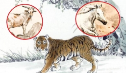 Phú quý lâm môn: 3 con giáp này tậu nhà xe dễ như 'trở bàn tay' trong năm 2021