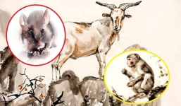 Thời vận lên ngôi: 3 con giáp tình yêu thăng hoa, công việc thăng tiến trong năm 2021