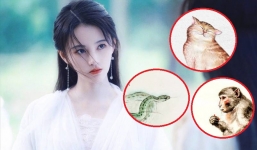 Cửa tài rộng mở, 3 con giáp trở thành cao thủ kiếm tiền, vơ hết lộc lá trong năm 2021