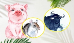 Thời tới cản không kịp, 3 con giáp 'tiền vào như nước sông Đà' trong năm Tân Sửu 2021