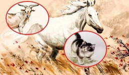 Quý nhân chiếu cố nồng hậu, 3 con giáp này trong 5 ngày tới gặp được phúc khí trời cho