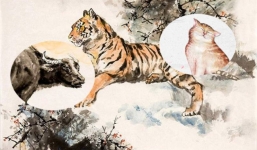 3 con giáp được xem là thần may mắn của chồng, vượng phu ích tử 