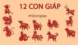 Tết Nguyên đán 2021: 12 con giáp nên mặc màu gì để thần may mắn gõ cửa?