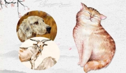 Thiên thời địa lợi, 3 con giáp này đổi đời trong năm 2021