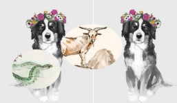 Rũ sạch vận xui, 3 con giáp này phất lên như diều gặp gió trong năm 2021