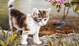 Thời thế xoay vần, 3 con giáp này sắp đón vận đổi đời từ tháng Giêng trở đi