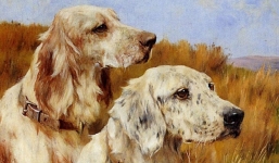 Vận đen khó tránh, 3 con giáp dù được nâng đỡ cũng khó tránh khỏi số thị phi