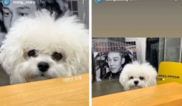 Quên Song Joong Ki đi, đây mới là thứ Song Hye Kyo nâng niu gìn giữ và gắn bó