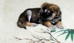 3 con giáp giàu không kịp trở tay, hứng vô vàn vận may trong tuần mới