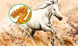 Vận đỏ như son, 3 con giáp hứng trọn vinh hiển trong 7 ngày tới!