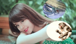 Thời đến cản không kịp, 3 con giáp đi đến đâu được thần tài lộc chiếu mệnh đến đấy