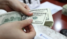 Bản tin tỷ giá ngoại tệ mới nhất 16/3: Đồng USD tăng giá giữa bối cảnh vàng chìm sâu 