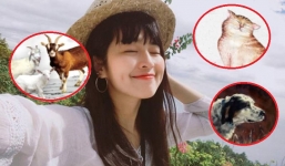 Phúc khí ngập tràn, 3 con giáp này rộng cửa đón tài lộc ngập tràn trong tháng 4