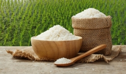 Giá lúa gạo hôm nay 23/8: Giá lúa sụt giảm, giá gạo bình ổn