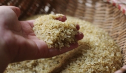 Giá lúa gạo hôm nay 24/8: Đảo chiều khởi sắc sau tuần giao dịch ảm đạm