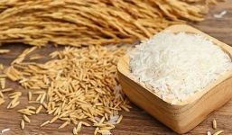 Giá lúa gạo hôm nay 26/8: Lúa gạo tăng giảm trái chiều