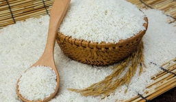 Bản tin giá lúa gạo hôm nay 30/8: Đồng loạt tăng không kiểm soát