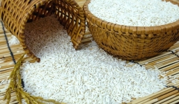 Bản tin giá lúa gạo hôm nay 1/9 mới nhất: Xu hướng tăng giảm trái chiều