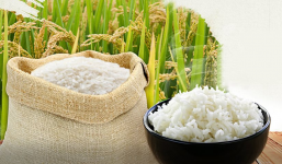 Giá lúa gạo hôm nay ngày 2/9: Đảo chiều tăng mạnh