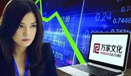 Lật mặt Triệu Vy: Thâu tóm 14 công ty, gia sản hàng chục nghìn tỷ và mánh khoé khiến nhiều người khốn đốn