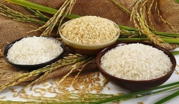 Giá lúa gạo hôm nay 7/9: Biến động mạnh, nông dân chật vật tìm đầu ra