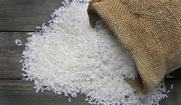 Giá lúa gạo hôm nay 8/9: Tăng giảm trái chiều, nông dân loay hoay gỡ rối