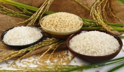 Giá lúa gạo hôm nay 9/9: Đồng loạt tăng, thị trường sôi động trở lại