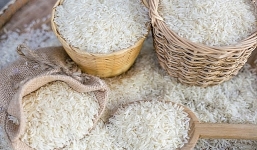 Giá lúa gạo hôm nay 12/9: Biến động nhẹ, nông dân loay hoay tìm đầu ra