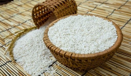 Giá lúa gạo hôm nay 13/9: Giá lúa khởi sắc, giá gạo bình ổn