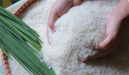 Giá lúa gạo hôm nay 17/9: Giữ mức ổn định sau một tuần biến động