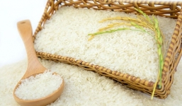 Giá lúa gạo hôm nay 22/9: Giá lúa biến động mạnh