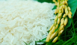 Giá lúa gạo hôm nay 30/9: Biến động trái chiều trong phiên cuối tháng
