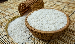 Giá lúa gạo hôm nay 4/10: Tụt giảm mạnh ngay phiên đầu tuần