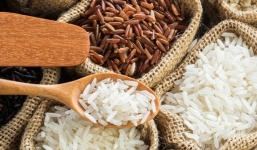 Giá lúa gạo hôm nay 8/10: Lúa đi ngang, gạo giảm nhẹ