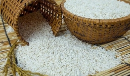 Giá lúa gạo hôm nay 22/11: Gạo bật tăng nhẹ, lúa đi ngang