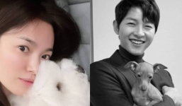 Song Hye Kyo hứng chỉ trích nặng nề khi có hành động này giữa lúc Song Joong Ki gặp chuyện buồn