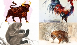 Vận trình nở rộ, 4 con giáp tài lộc đầy nhà tiền đếm mỏi tay trong năm 2022