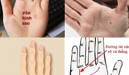 4 đặc điểm trên bàn tay cho thấy không sớm thì muộn bạn cũng thành đại gia