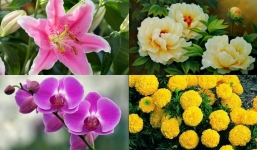 4 loại hoa đại kỵ đặt lên bàn thờ cúng ông Công ông Táo nếu không muốn rước tai họa