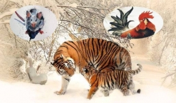 Vận đen bủa vây, 3 con giáp này nhớ 'giữ mồm giữ miệng' tránh rước họa vào thân trong năm 2022