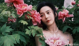 Đây là lý do vì sao Phạm Băng Băng vẫn cố mon men vào showbiz sau 4 năm 'ngã ngựa'