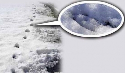 Vén màn bí ẩn: Sự thật rùng mình phía sau 6 dấu chân quỷ gây tranh cãi gần 200 năm 