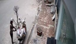 Cặp đôi đi 'xế hộp' trộm đào lúc nửa đêm:1 ngày sau, vợ mang cây đến trả