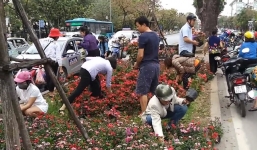 Clip người dân 'hôi hoa' trang trí dịp Thượng đỉnh Mỹ Triều: Tự lấy hay được cho?