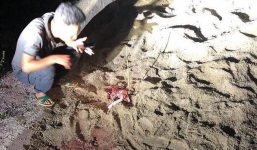 Công an điều tra vụ việc đàn chó 10 con cắn bé trai 7 tuổi tử vong