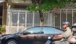 Sau khi bị bôi bẩn, nhà riêng của nguyên Viện phó VKS ở Đà Nẵng lại bị mất số nhà