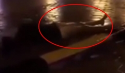 Gái xinh nghi ngáo đá, lột đồ 'bơi như cá' giữa chốn đông người