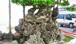 Chiêm ngưỡng tác phẩm 'độc long kim cương' triệu đô của đại gia Hưng Yên