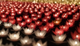 Lễ hội hoa đăng cầu cho thế giới hòa bình tại Đại lễ Phật Đản-Vesak 2019